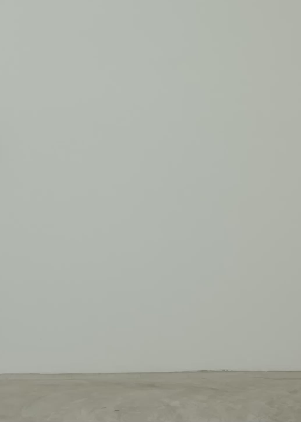 Load video: MID-RISE BARREL JEANS WITH SPRAY EFFECT